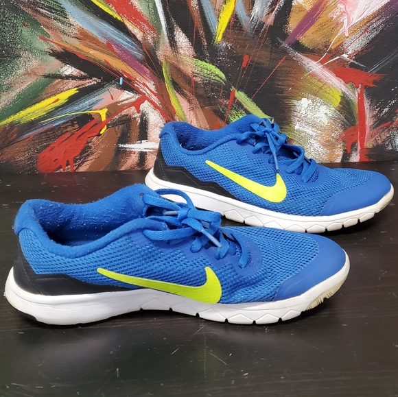 Nike Other - Nike Boys Flex Experience
